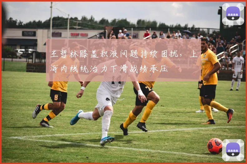 王哲林膝盖积液问题持续困扰,上海内线统治力下滑战绩承压