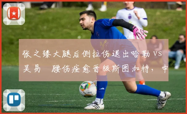 张之臻大腿后侧拉伤退出哈勒 vs 吴易昺腰伤痊愈晋级斯图加特,中国男网草地首秀不同命